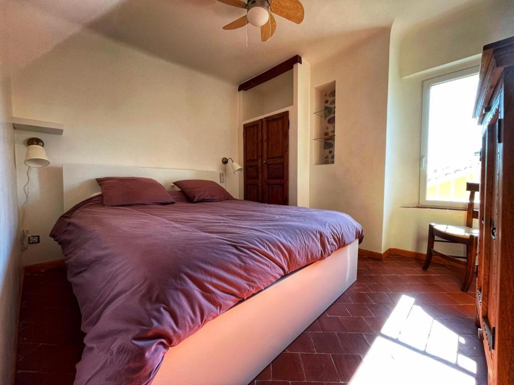 La Maison De Lily, Cosy Dans Le Vieux-Hyeres, Parking Gratuit Kültér fotó